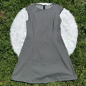 GAP White and Navy Blue Blue Sheath Mid Length Dress Casual Crew Neck Size 6